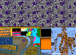 LA VIE DANS  SES ETATS.gif